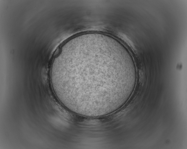 X0000090411260200708031034