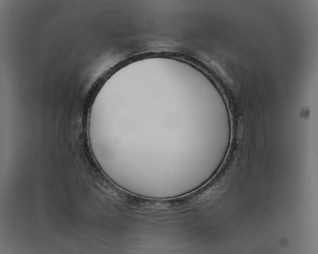 X0000090411261200708031034