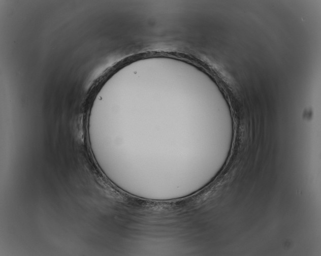 X0000090411262200708031034