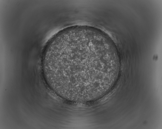 X0000090411263200708031034