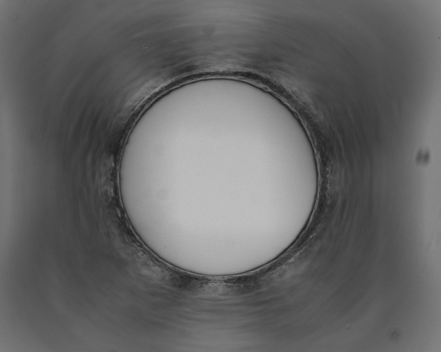 X0000090411265200708031034
