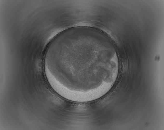 X0000090411266200708031034