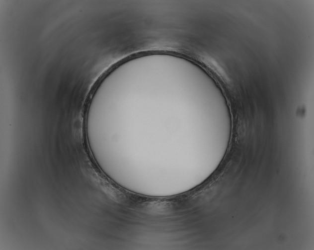 X0000090411268200708031034