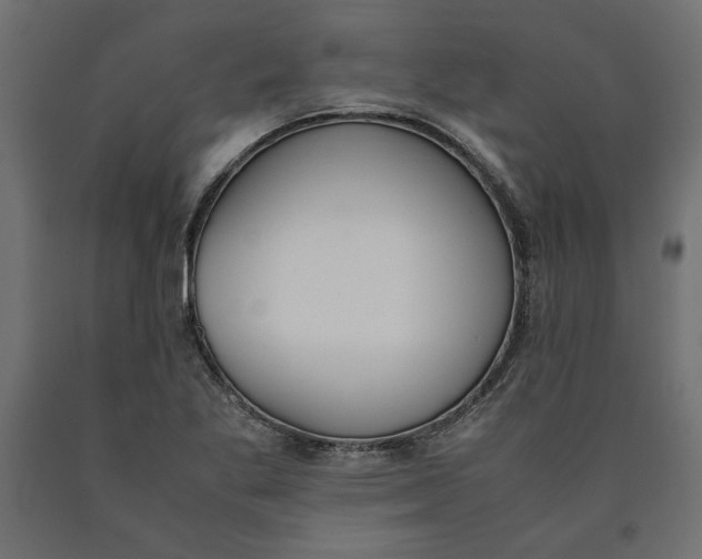 X0000090411269200708031034