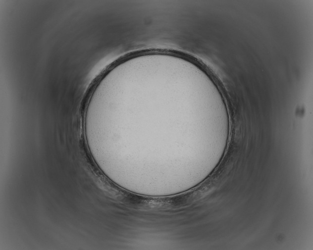 X0000090411271200708031034