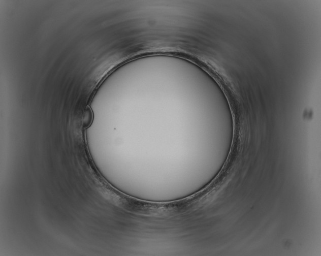 X0000090411273200708031034