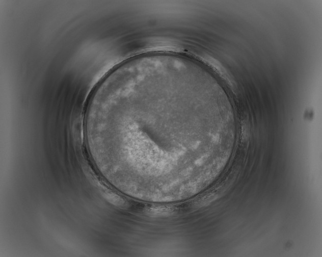 X0000090411274200708031034