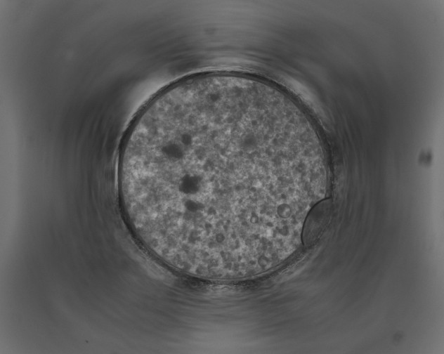 X0000090411275200708031034