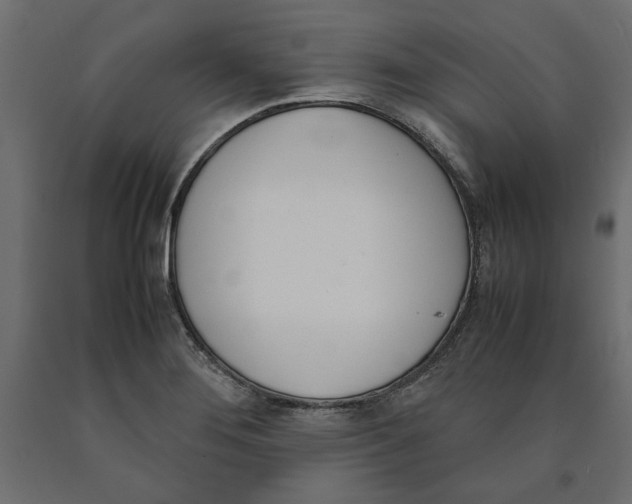 X0000090411276200708031034