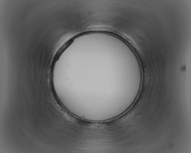 X0000090411277200708031034