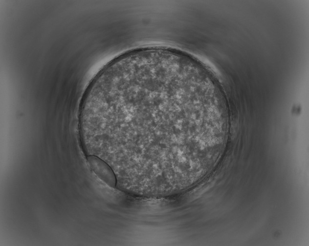 X0000090411279200708031034