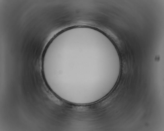X0000090411280200708031034