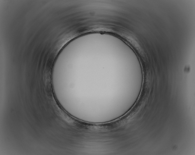 X0000090411281200708031034