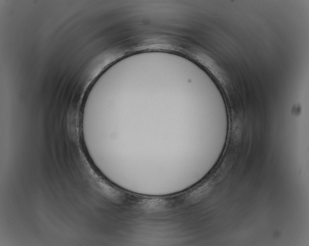 X0000090411282200708031034