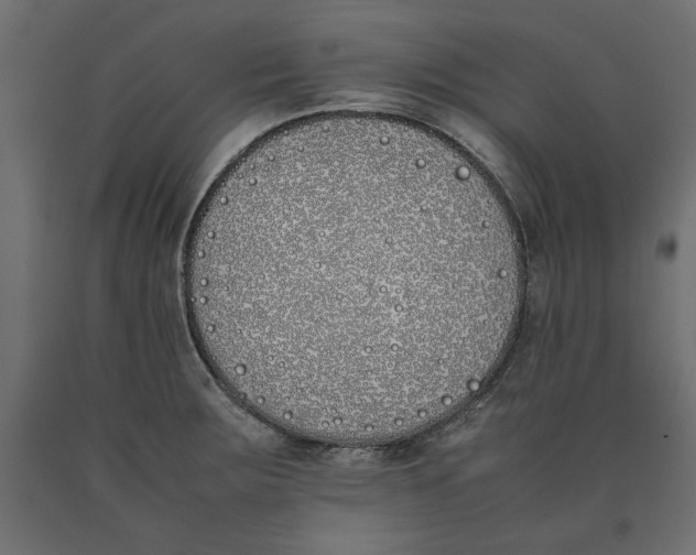 X0000090411283200708031034