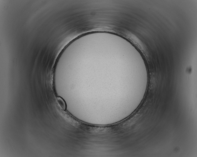 X0000090411284200708031034