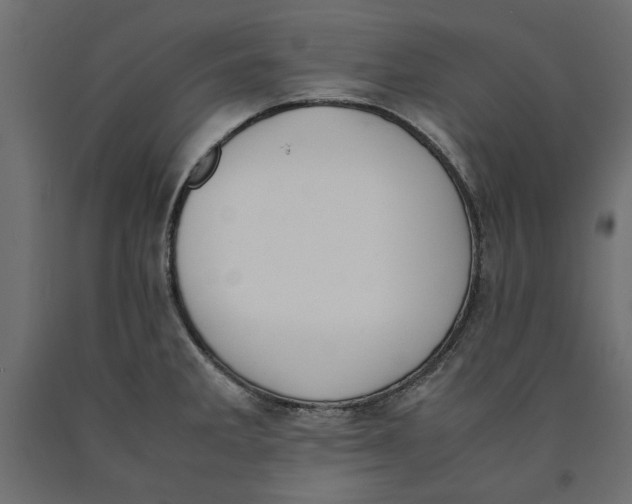 X0000090411285200708031034