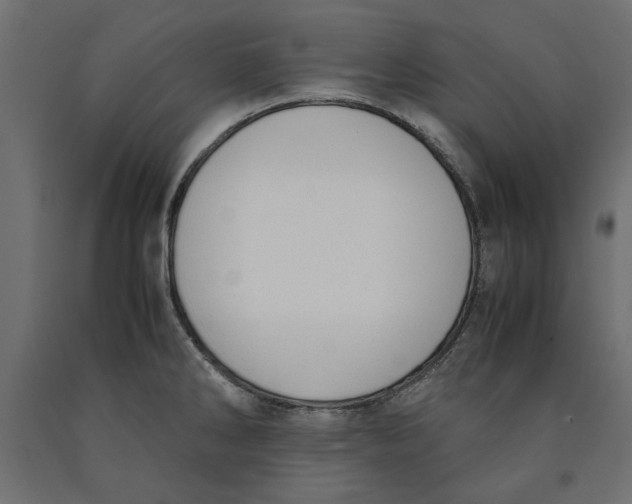 X0000090411286200708031034
