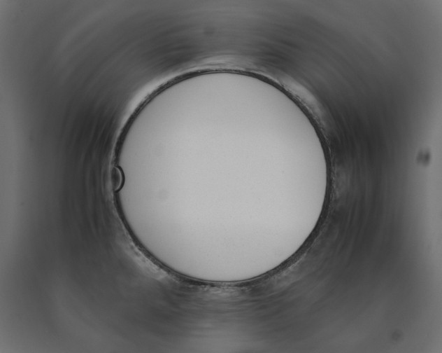X0000090411288200708031034