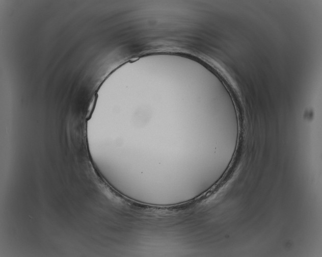 X0000090411289200708031034