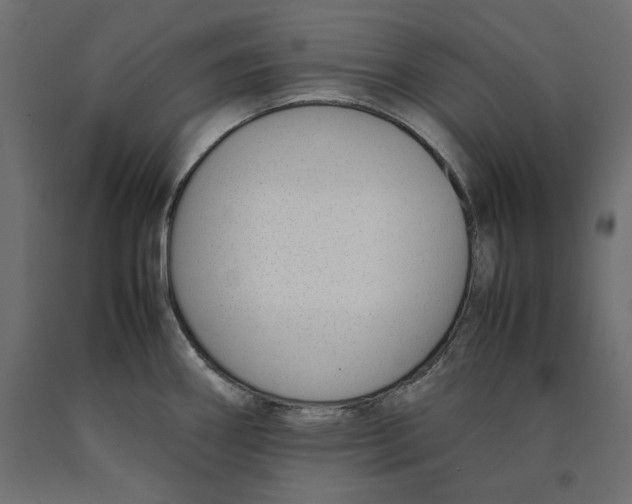 X0000090411290200708031034