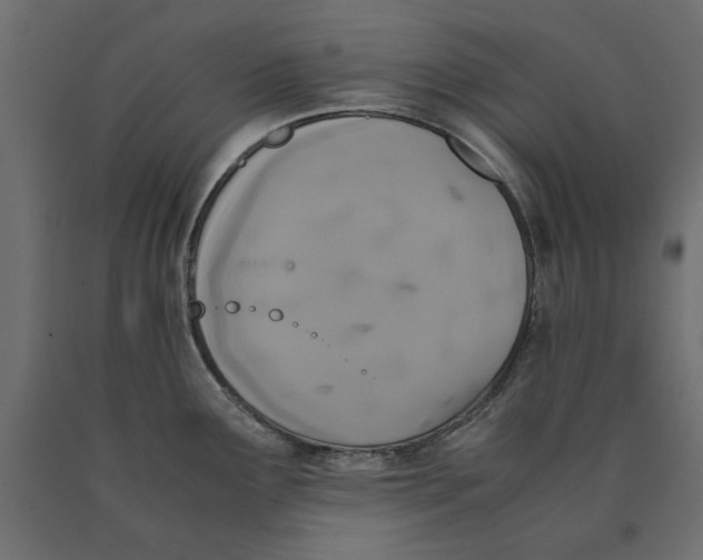 X0000090411291200708031034