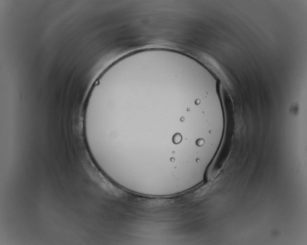 X0000090411292200708031034
