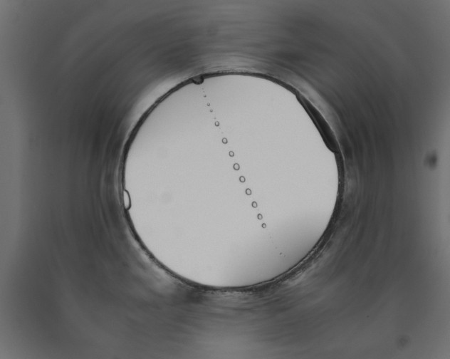 X0000090411293200708031034