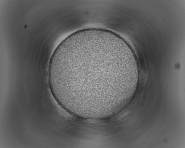 X0000090411295200708031034