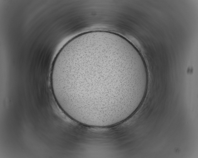 X0000090411296200708031034