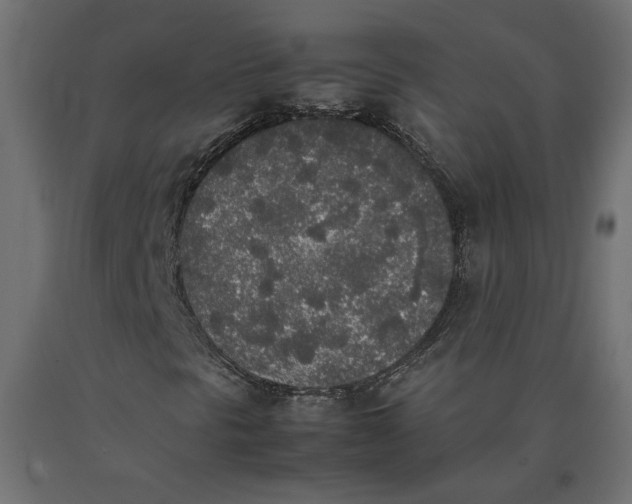 X0000090411297200708031033