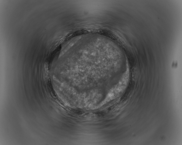 X0000090411298200708031033
