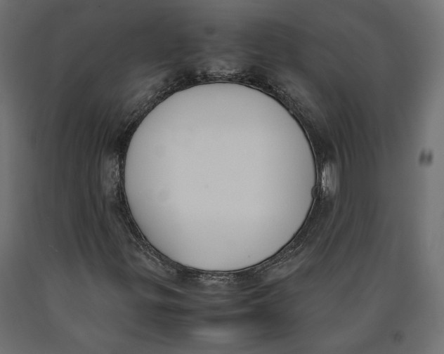 X0000090411299200708031033