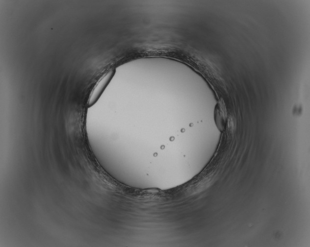 X0000090411300200708031033