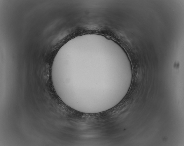 X0000090411301200708031033