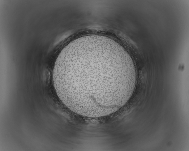 X0000090411302200708031033