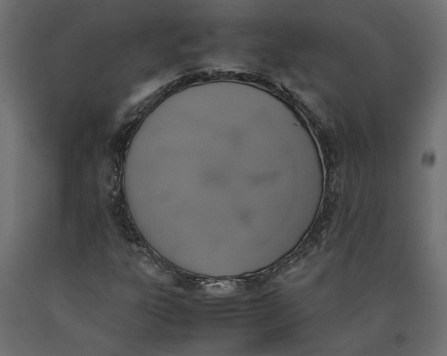 X0000090411303200708031033
