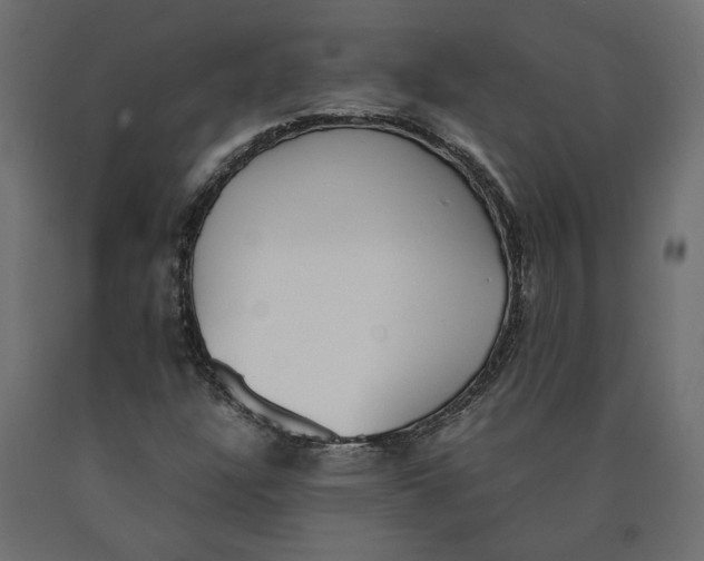 X0000090411304200708031033