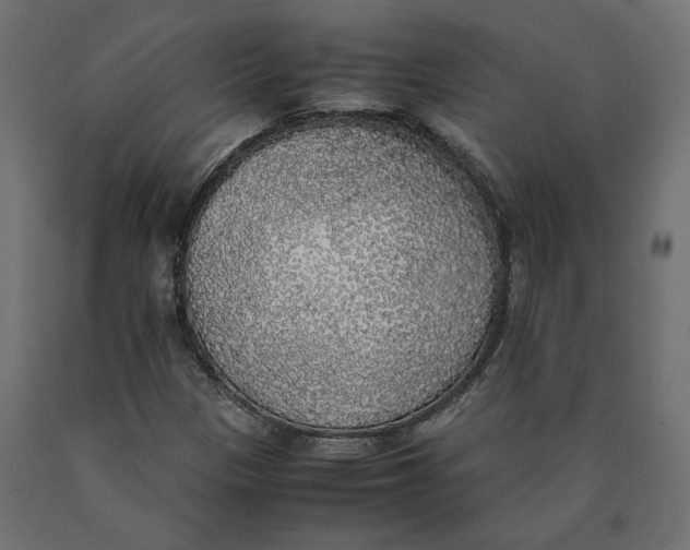 X0000090411305200708031033