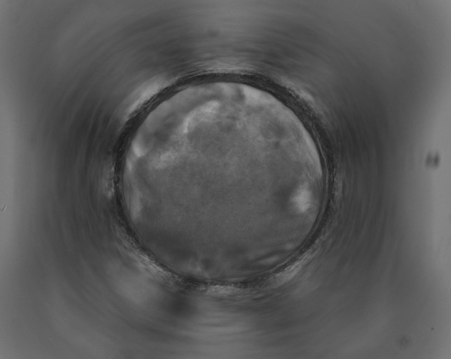 X0000090411306200708031033
