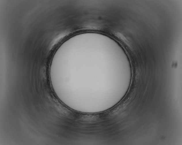 X0000090411307200708031033