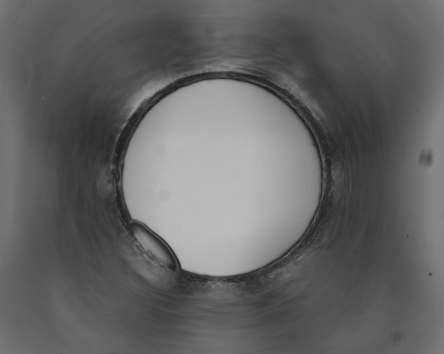 X0000090411308200708031033