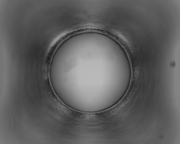 X0000090411310200708031033
