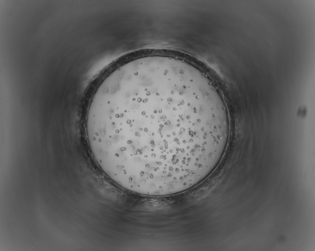 X0000090411311200708031033