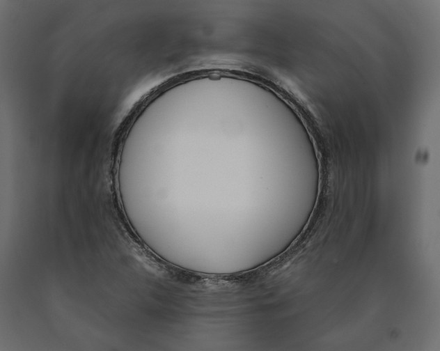 X0000090411312200708031033