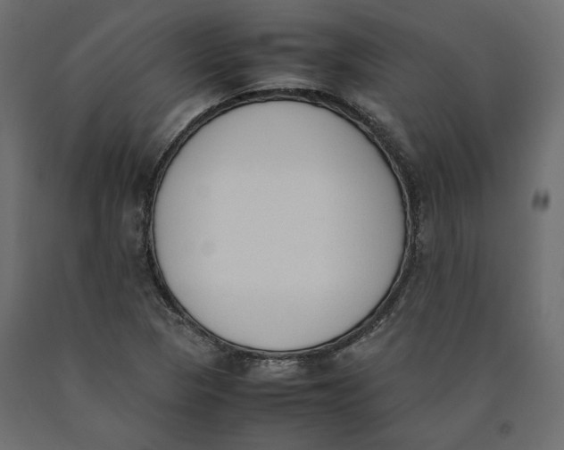 X0000090411313200708031033
