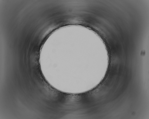 X0000090411314200708031033