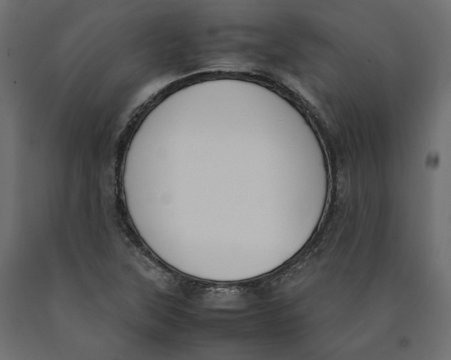 X0000090411315200708031033