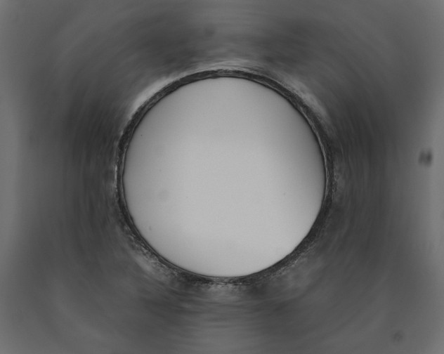 X0000090411316200708031033
