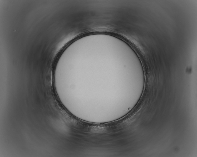 X0000090411317200708031033